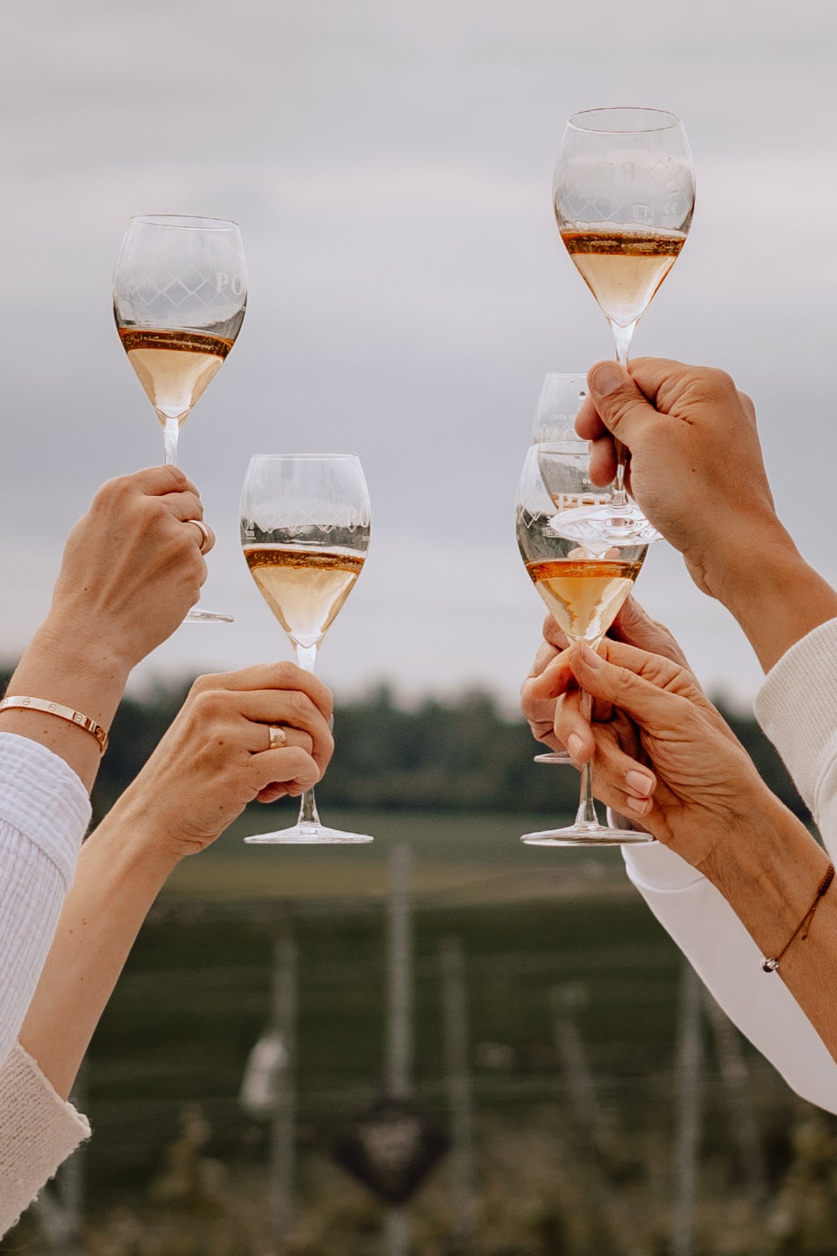 5 champagnergläser die sich zuprosten vor dem himmel in den weinbergen