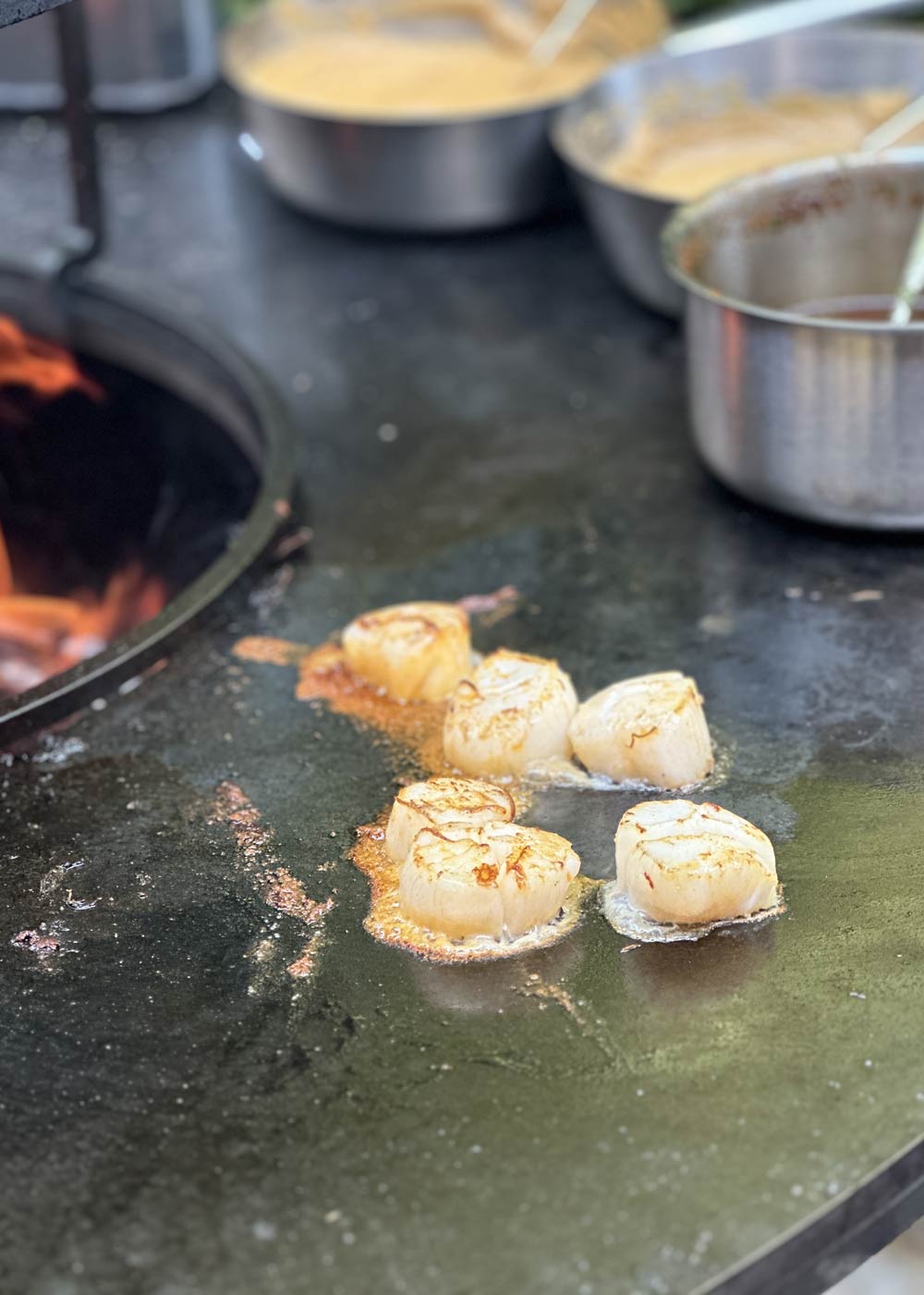 jakobsmuscheln auf heißer grillplatte