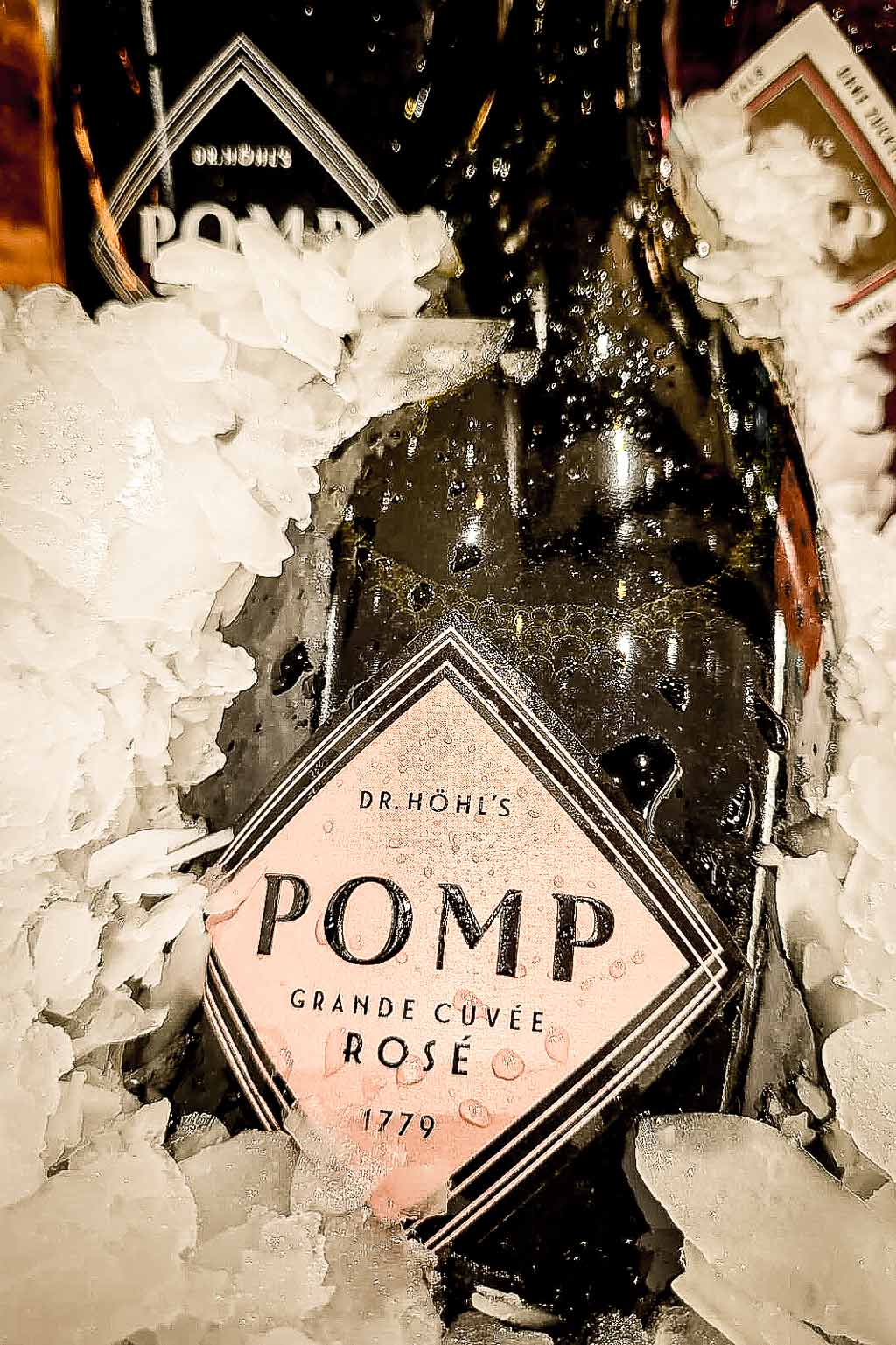 detailaufnahme pomp rose sektetikett mit veredlung auf eis