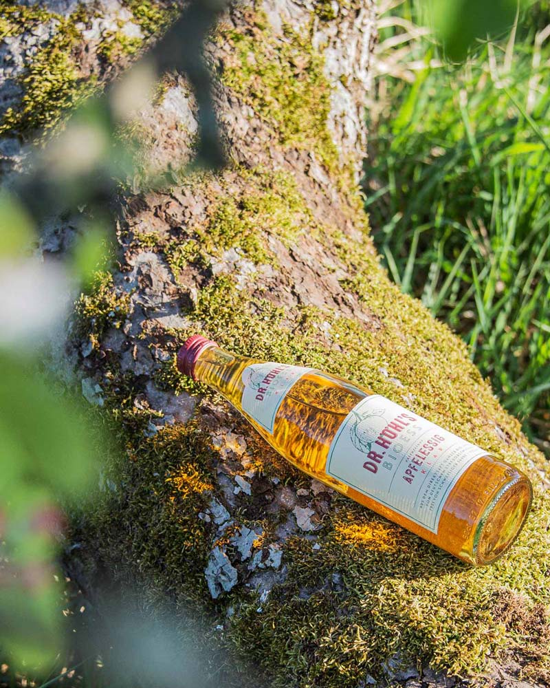 Flasche veganer Apfelessig liegt auf einem Baumstamm auf einer Streuobstwiese 